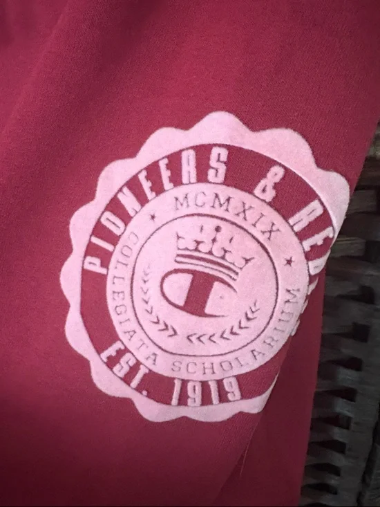 Champion Cardinal Red Pullover Hoodie with Small Logo - Picture 5 of 7